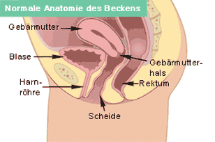 Deszensus (= Senkung)